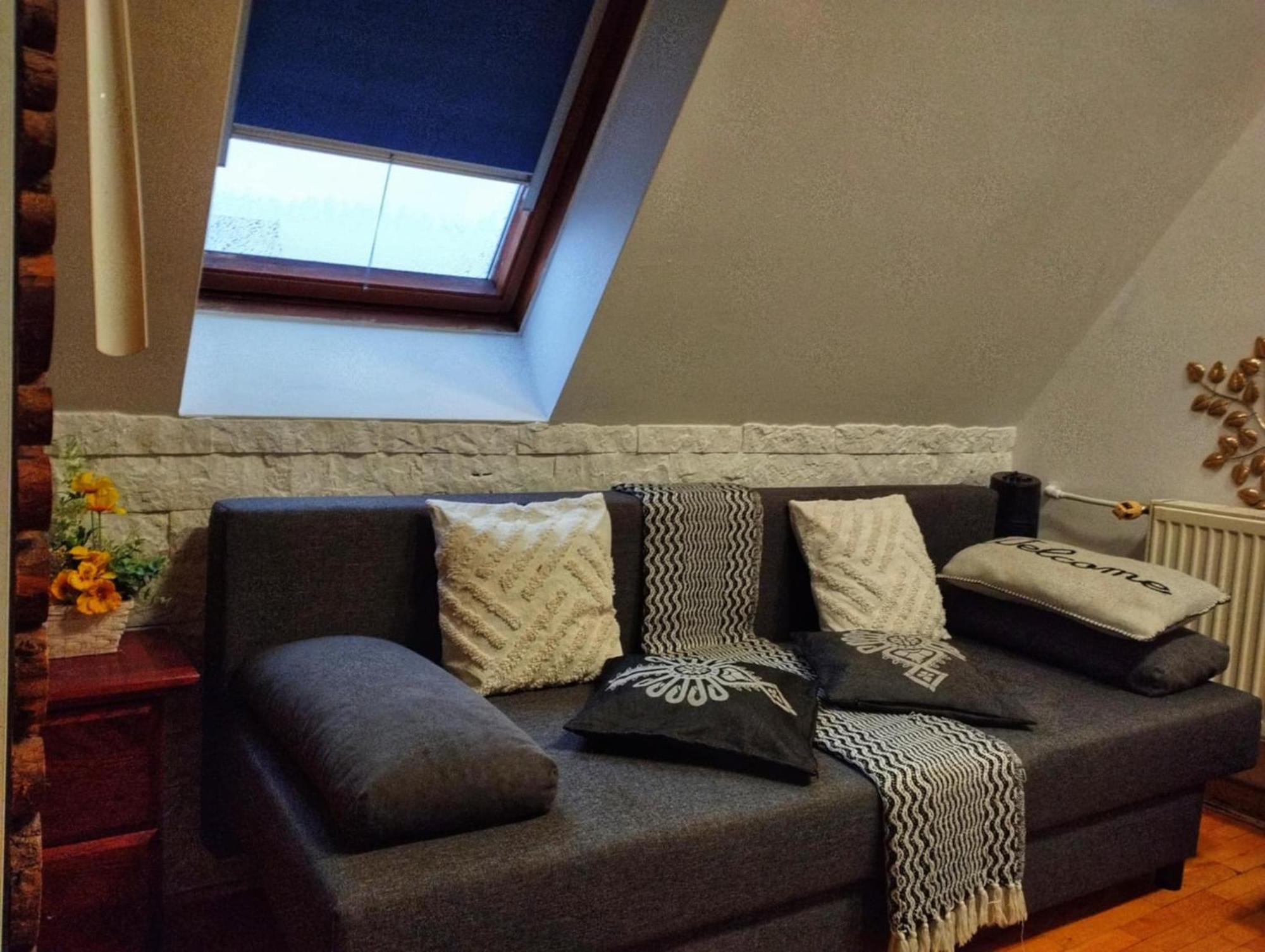 Willa Czajka - Widokowe Apartamenty Zakopane Ngoại thất bức ảnh